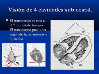 Visión de 4 cavidades sub costal.
   El transductor se rota en
    90° en sentido horario.
    El transductor puede ser
    angulado hacia anterior o
    posterior.
 