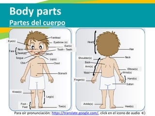 Body parts
Partes del cuerpo
Eyebrow (s)
Foot -
Feet
Arm(s)
Wrist(s)
Hand(s)
Elbow(s)
Finger(s)
Ankle(s)
Heel(s)
Shoulder(s)
Toe(s)
Leg(s)
Knee(s)
Lip(s)
Ear(s)
Tooth - Teeth
Eye(s)
(s)
Para oír pronunciación: https://translate.google.com/, click en el icono de audio
 