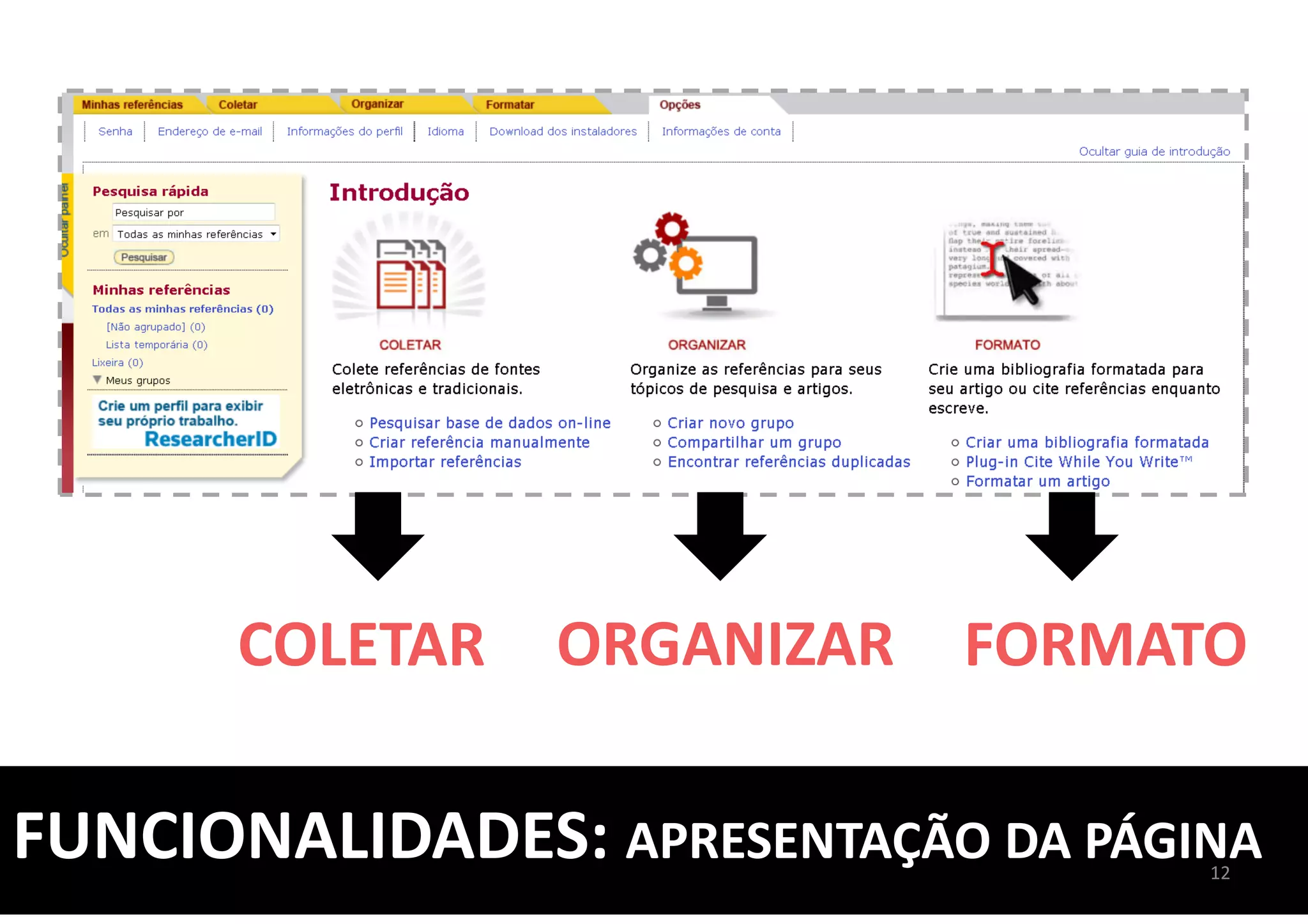 FUNCIONALIDADES: APRESENTAÇÃO DA PÁGINA
COLETAR ORGANIZAR FORMATO
12
 