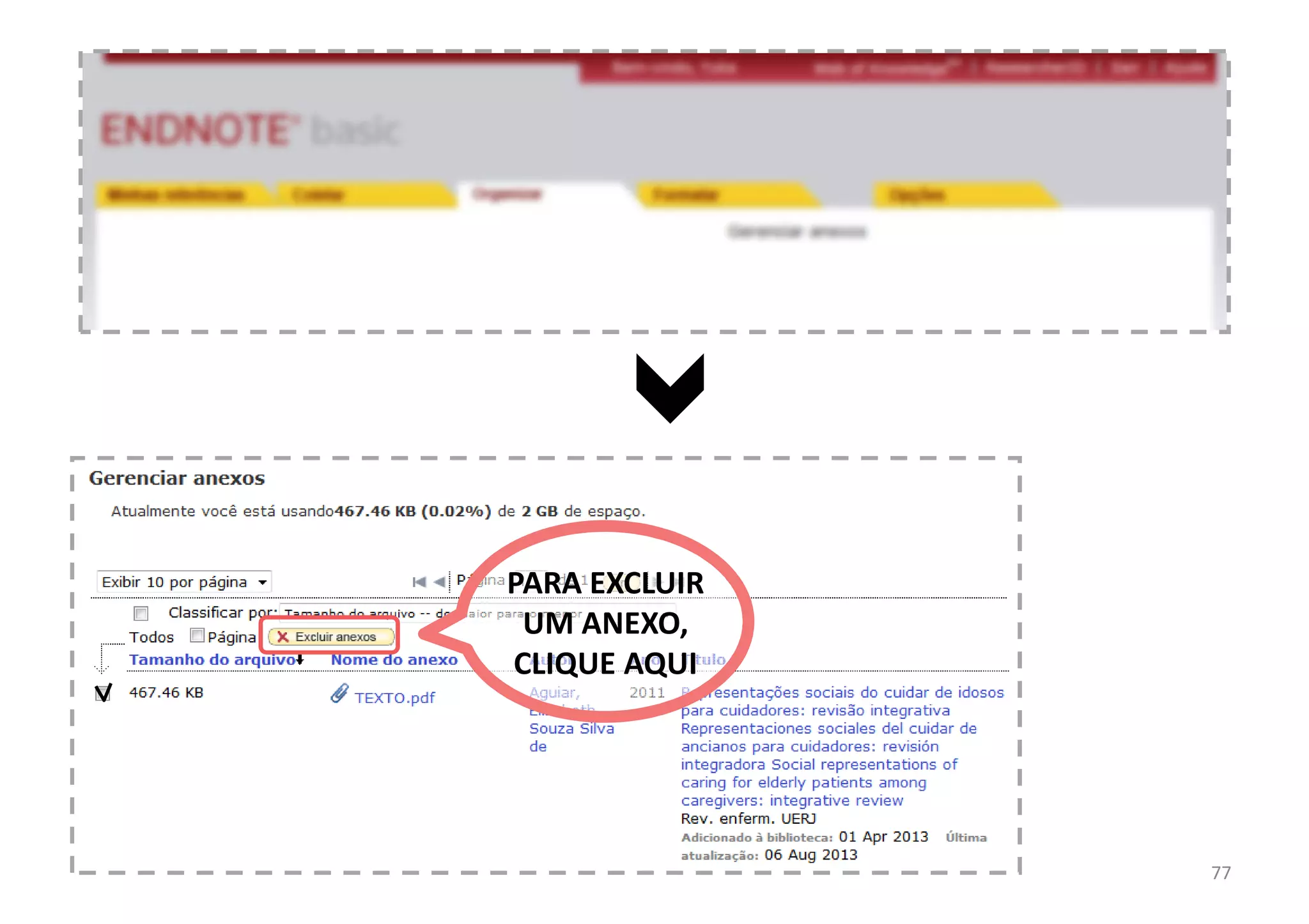 77
PARA EXCLUIR
UM ANEXO,
CLIQUE AQUI
 