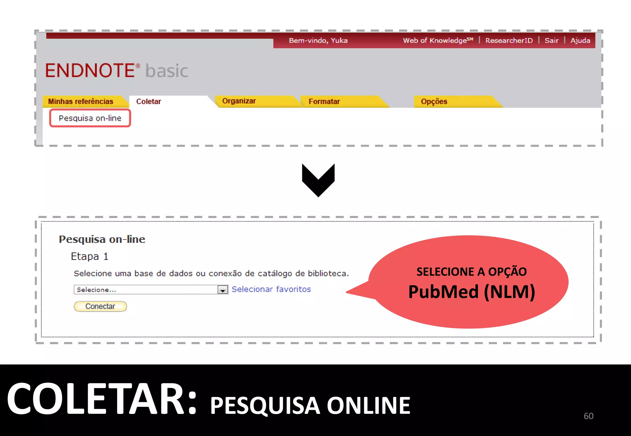 TODAS	
  AS	
  REFERÊNCIAS	
  
COLETADAS,	
  PODEM	
  SER	
  
ORGANIZADAS	
  
E	
  GERENCIADAS	
  
60	
  
ORGANIZAR:	
  GERENCIA	
  GRUPOS	
  
 