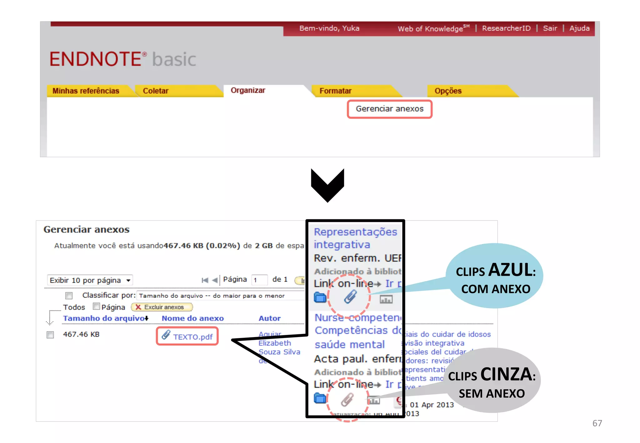 67	
  
CLIPS	
  AZUL:	
  
COM	
  ANEXO	
  
CLIPS	
  CINZA:	
  
SEM	
  ANEXO	
  
 