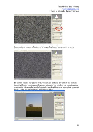 Irina Mishina (Ima Blumm)
                                                               www.imablumm.com
                                                Curso de fotografía digital, Tutoriales




Comparad ésta imagen aclarada con la imagen hecha con la exposición correcta:




En nuestro caso no hay errores de exposición. Sin embargo por un lado me gustaría
tener el cielo más oscuro con colores más saturados, por otro lado me gustaría que se
vea un poco más clara la parte inferior del prado. Decido aclarar las sombras con otros
ajustes y bajo la exposición para saturar los colores:




                                                                                    11
 