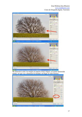 Irina Mishina (Ima Blumm)
                                                              www.imablumm.com
                                               Curso de fotografía digital, Tutoriales




Mi intención es dar a la imagen un aspecto irreal, mágico, no quiero demasiada
nitidez, así que voy a disminuir la claridad, sin llegar al valor mínimo:




                                                                                   17
 