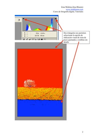 Irina Mishina (Ima Blumm)
               www.imablumm.com
Curso de fotografía digital, Tutoriales




             Dos triángulos nos permiten
             seleccionar la opción de
             indicación visual de zona de
             luces quemadas y sombras sin
             detalle




                                     2
 