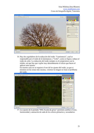 Irina Mishina (Ima Blumm)
                                                           www.imablumm.com
                                            Curso de fotografía digital, Tutoriales




16. Hay dos reguladores de la reducción del ruido: “Luminancia”, cual es
    responsable por el ruido de la luminancia y “Color”, como es lógico, reduce el
    ruido de color. La reducción del ruido siempre es el compromiso con la
    nitidez, así que hay que vigilar muy detenidamente el efecto que hacen al
    aplicar estos ajustes.
    En nuestro caso no se requiere el uso de los ajustes del ruido, ya que si
    miramos en las zonas más oscuras, veremos la imagen no tiene el problema
    del ruido:




17. Los ajustes de la pestaña “HSL/Escala de grises” permiten cambiar el tono,
    luminosidad y saturación de cada de los colores primarios y secundarios:




                                                                                 21
 