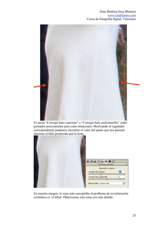 Irina Mishina (Ima Blumm)
                                                        www.imablumm.com
                                         Curso de fotografía digital, Tutoriales




El ajuste “Corregir halo cian/rojo” o “Corregir halo azul/amarillo” están
pensados precisamente para estas situaciones. Deslizando el regulador
correspondiente podemos encontrar el valor del ajuste que nos permite
eliminar el fallo producido por la lente:




En nuestra imagen, la zona más susceptible al problema de reverberación
cromática es el árbol. Observemos esta zona con más detalle:




                                                                             25
 