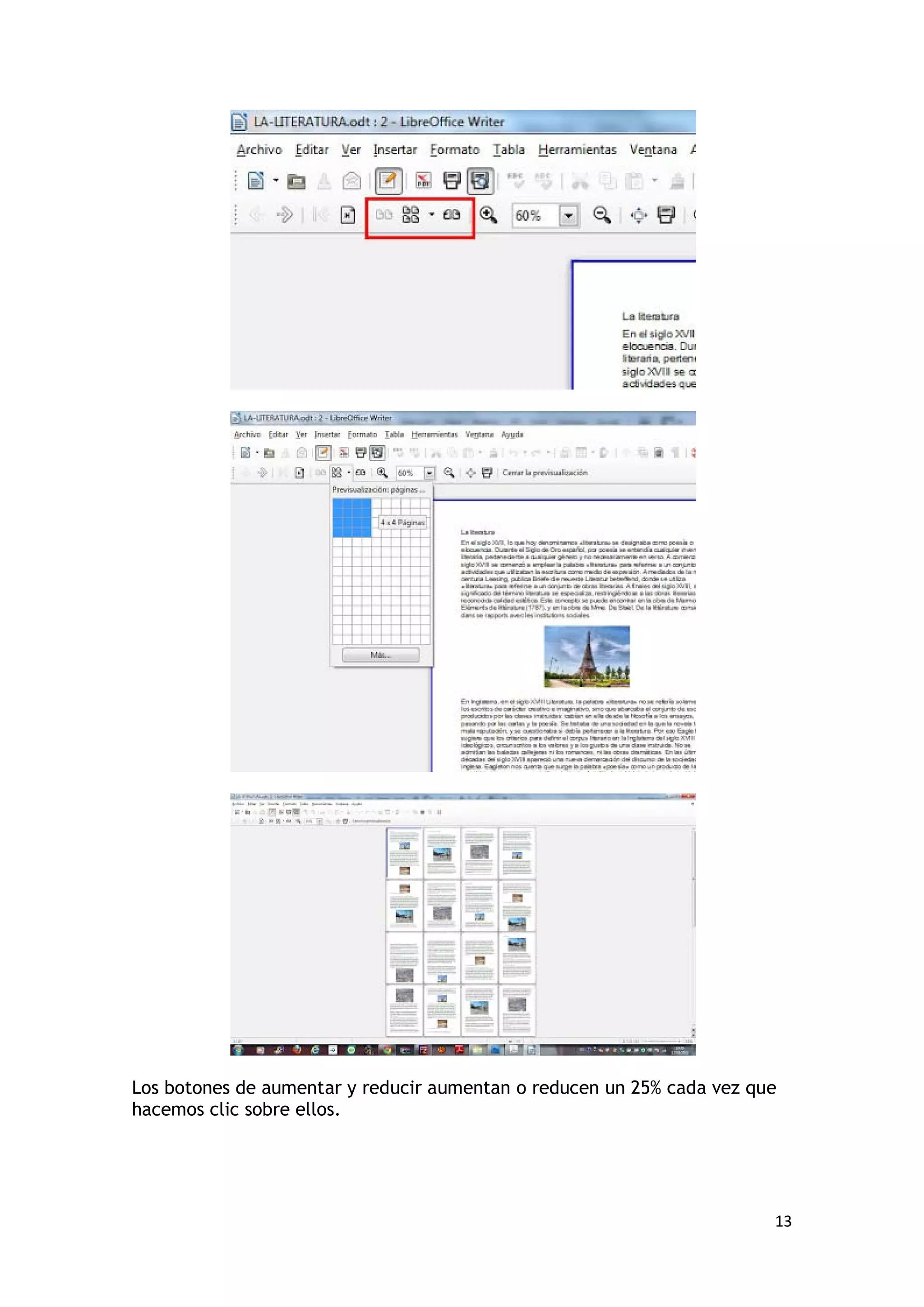 Los botones de aumentar y reducir aumentan o reducen un 25% cada vez que
hacemos clic sobre ellos.




                                                                       13
 