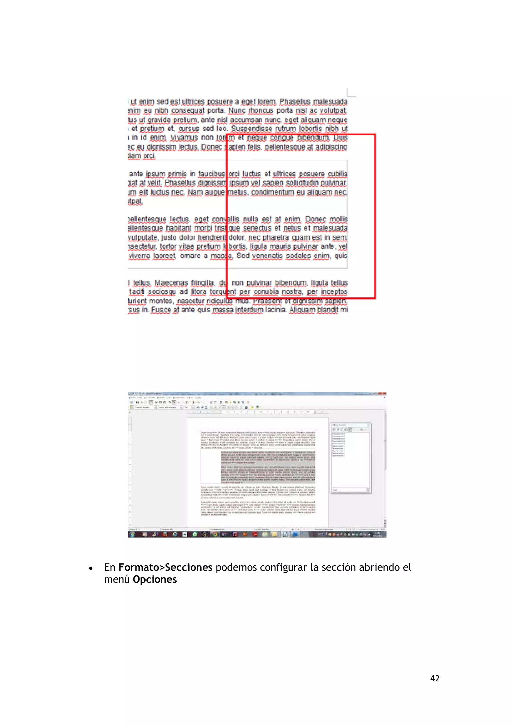 •   En Formato>Secciones podemos configurar la sección abriendo el
    menú Opciones




                                                                     42
 
