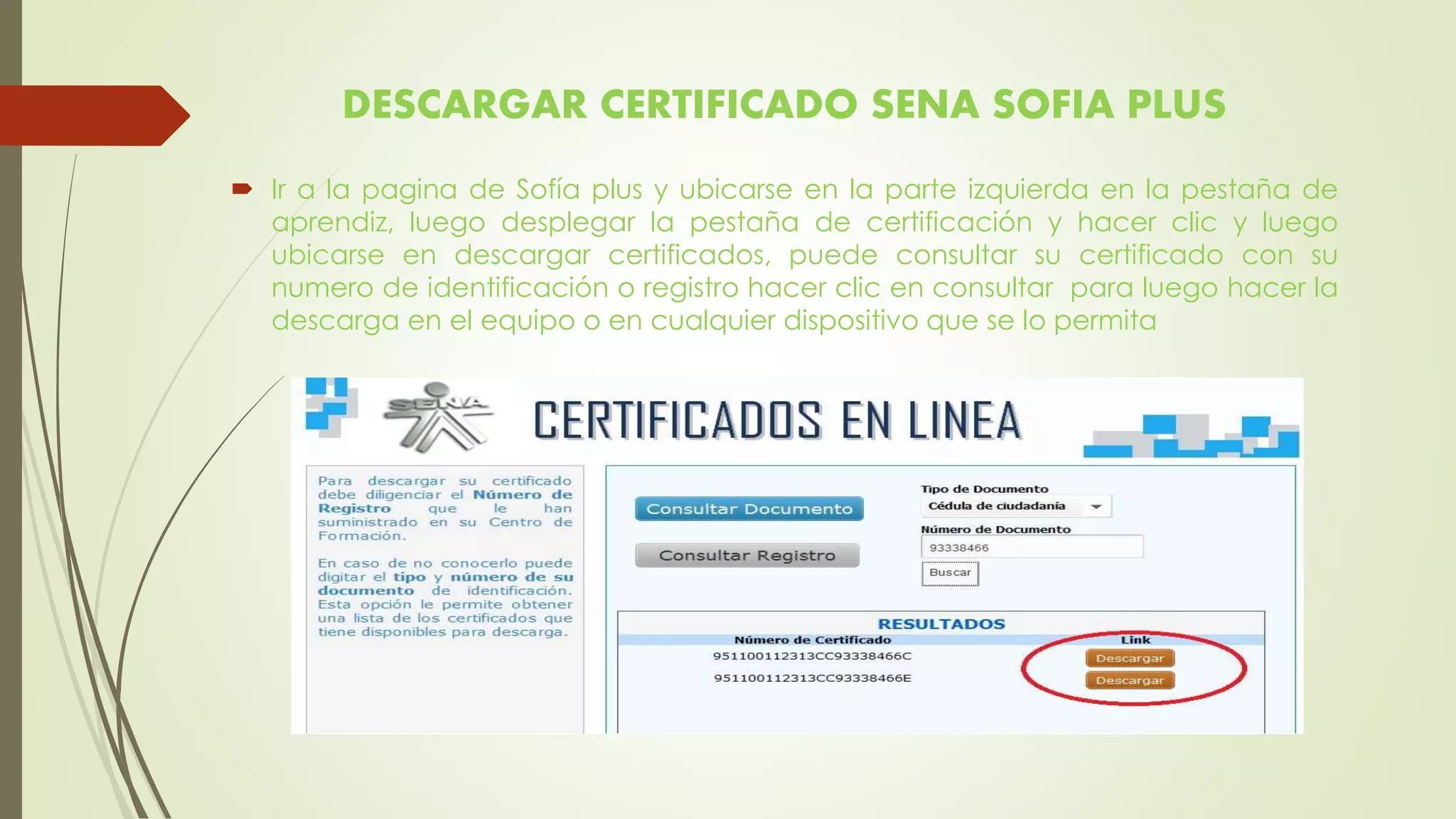 DESCARGAR CERTIFICADO SENA SOFIA PLUS
 Ir a la pagina de Sofía plus y ubicarse en la parte izquierda en la pestaña de
aprendiz, luego desplegar la pestaña de certificación y hacer clic y luego
ubicarse en descargar certificados, puede consultar su certificado con su
numero de identificación o registro hacer clic en consultar para luego hacer la
descarga en el equipo o en cualquier dispositivo que se lo permita
 