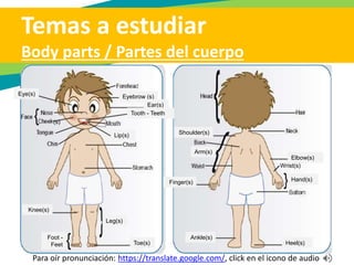 He’s wearing shorts It’s very sunny so we are wearing
sunglasses
It’s winter and it is very cold. I am
wearing a sweater, a jacket and a hat
Temas a estudiar
Verb “wear” / Verbo “llevar puesto, vestir”
Charlie is a police officer. He usually
wears a uniform
I’m always late because I never wear a
watch
I sometimes wear dresses
 