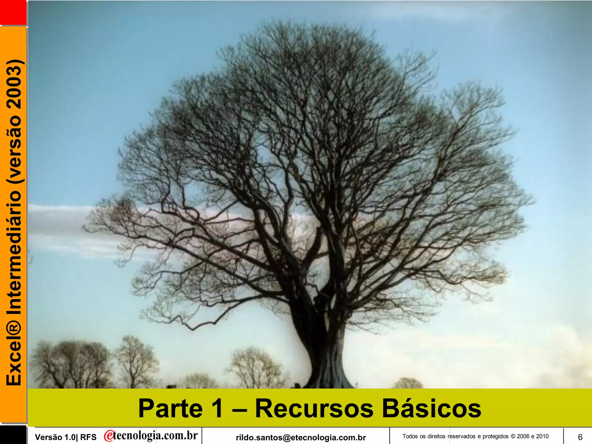Excel® Intermediário (versão 2003)




                                                       Parte 1 – Recursos Básicos
                                     Versão 1.0| RFS          rildo.santos@etecnologia.com.br   Todos os direitos reservados e protegidos © 2006 e 2010   6
 