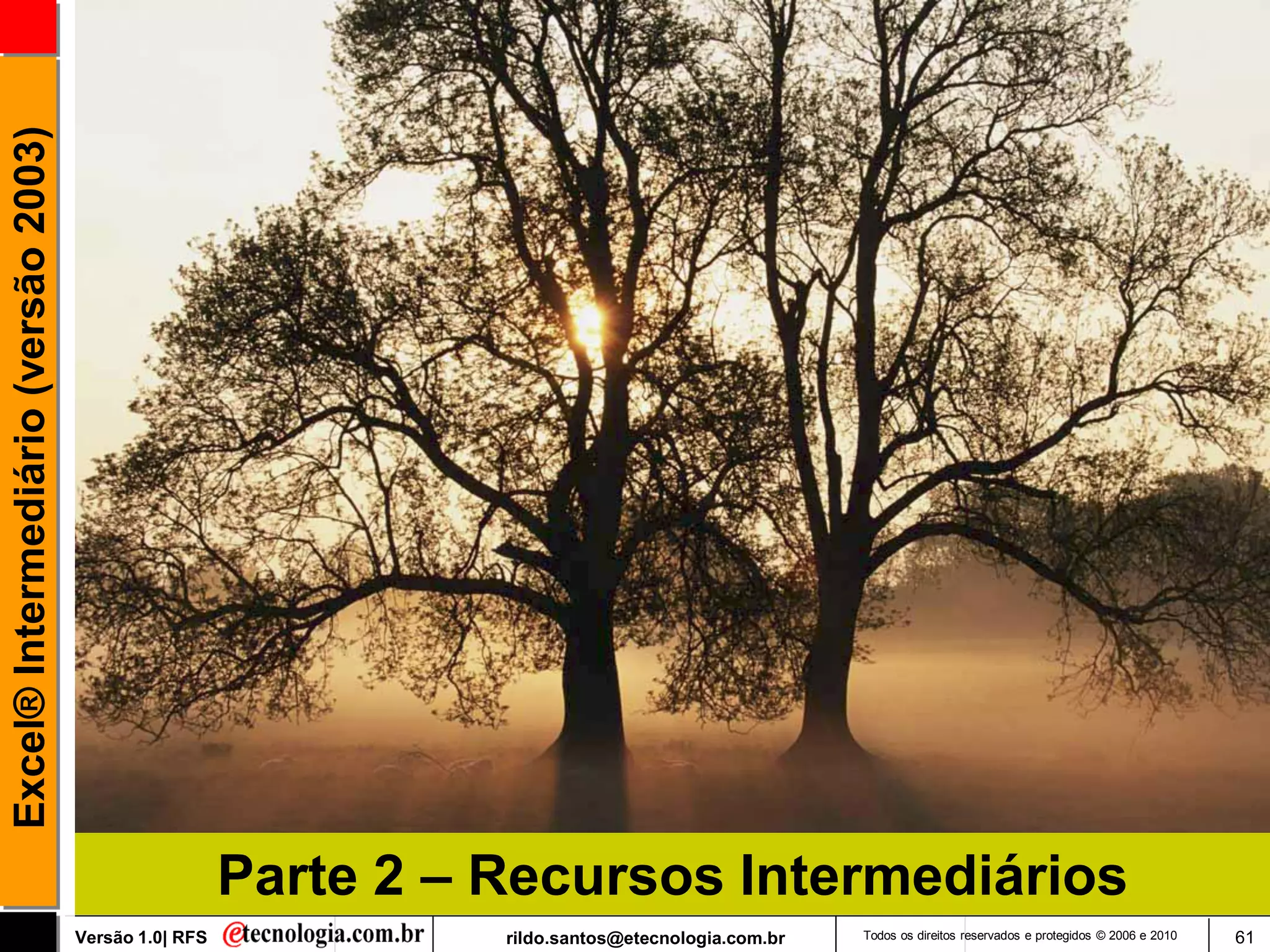 Excel® Intermediário (versão 2003)




                                                       Parte 2 – Recursos Intermediários
                                     Versão 1.0| RFS             rildo.santos@etecnologia.com.br   Todos os direitos reservados e protegidos © 2006 e 2010   61
 