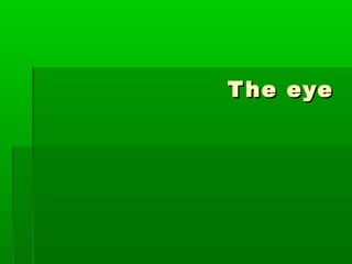 T he eye
 