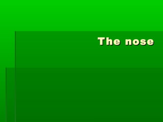 T he nose
 