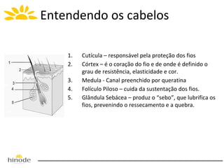 Entendendo os cabelos
1.
2.
3.
4.
5.

Cutícula – responsável pela proteção dos fios
Córtex – é o coração do fio e de onde é definido o
grau de resistência, elasticidade e cor.
Medula - Canal preenchido por queratina
Folículo Piloso – cuida da sustentação dos fios.
Glândula Sebácea – produz o “sebo”, que lubrifica os
fios, prevenindo o ressecamento e a quebra.

 