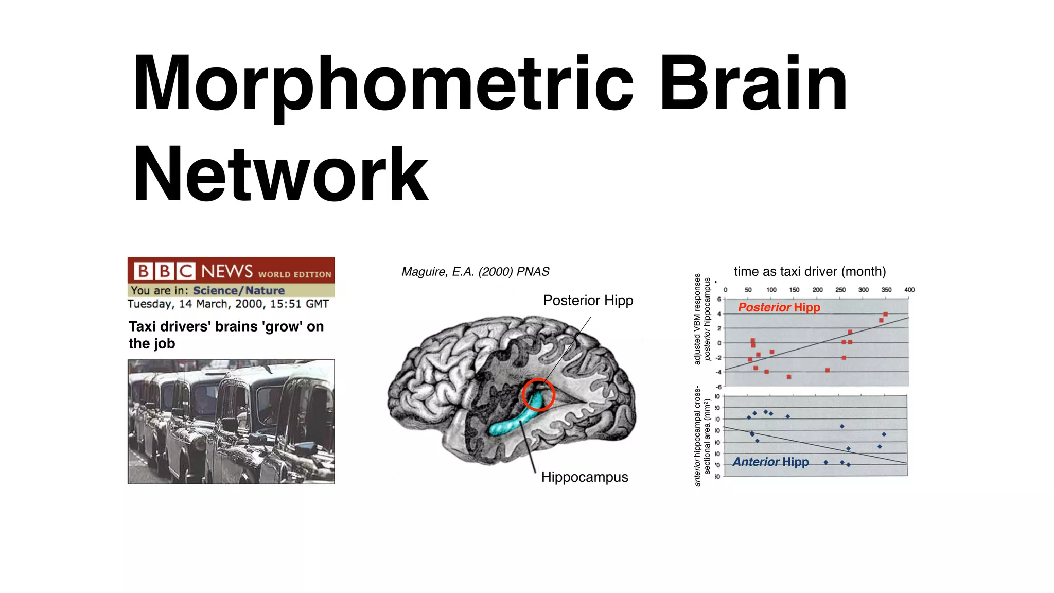 Morphometric Brain
Network
Hippocampus
Posterior Hipp
time as taxi driver (month)
adjustedVBMresponses 
posteriorhippocampus
anteriorhippocampalcross-
sectionalarea(mm2)
Posterior Hipp
Anterior Hipp
Taxi drivers' brains 'grow' on
the job
Maguire, E.A. (2000) PNAS
 