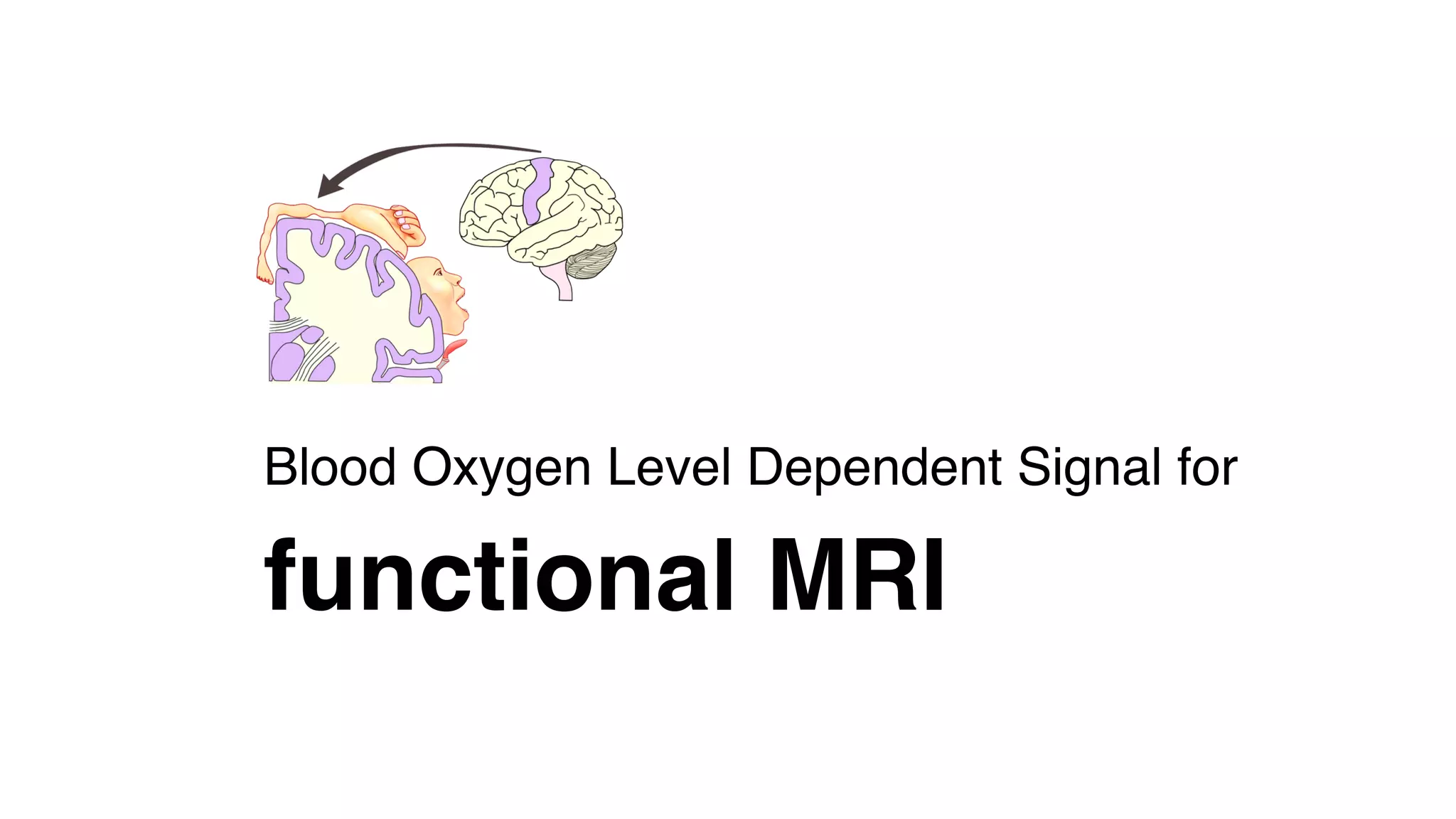 Blood Oxygen Level Dependent Signal for  
functional MRI
 
