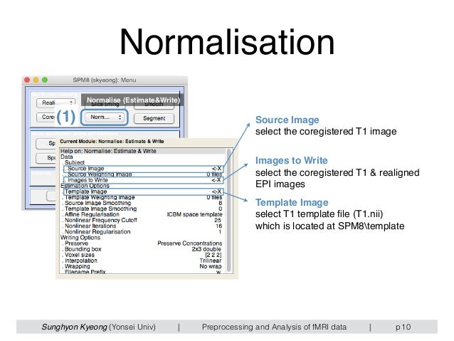 Fmri Preprocessing Steps | (PDF) Evaluating fMRI preprocessing ...