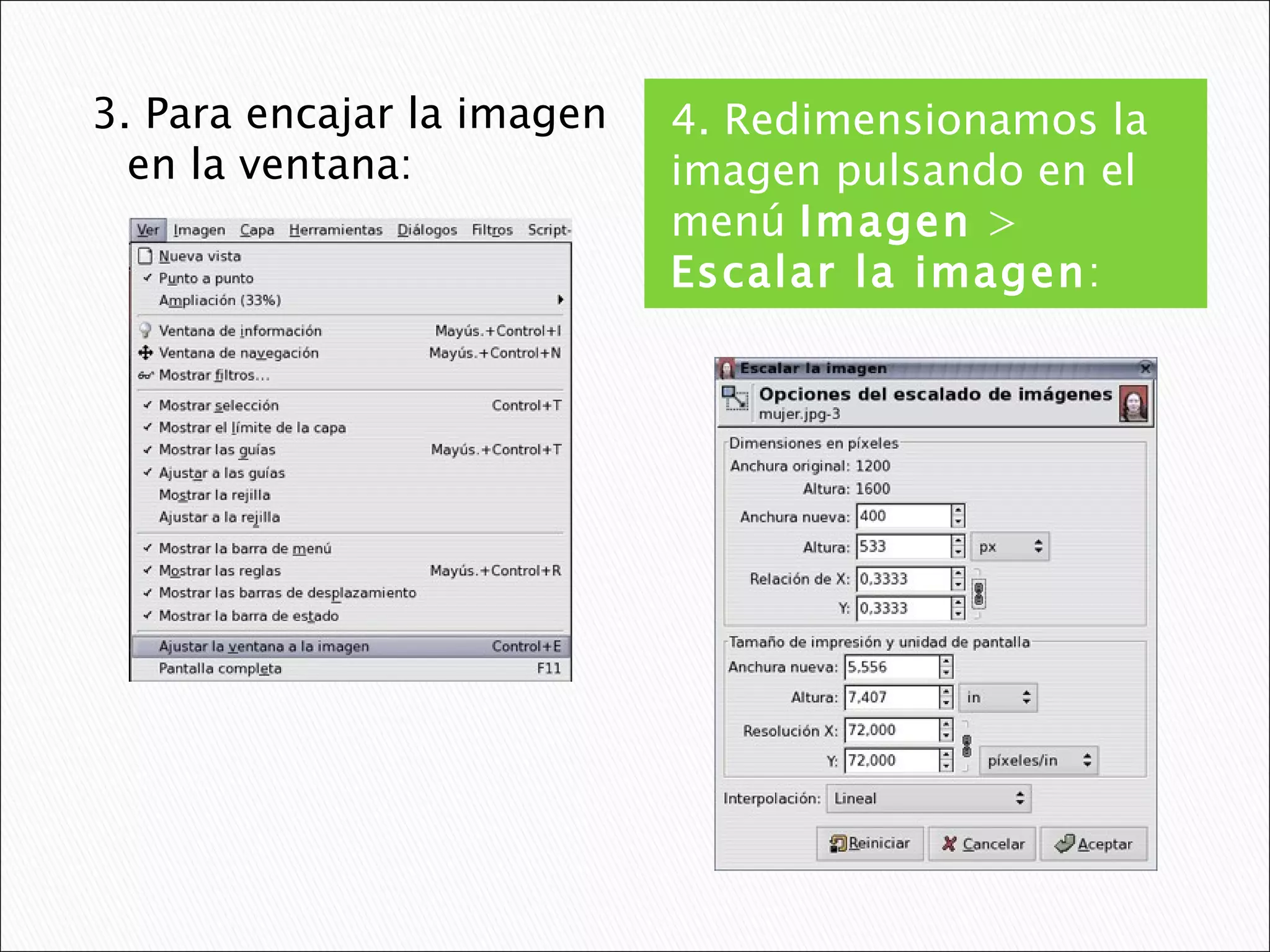 4. Redimensionamos la imagen pulsando en el menú  Imagen  >  Escalar la imagen : 3. Para encajar la imagen en la ventana: 