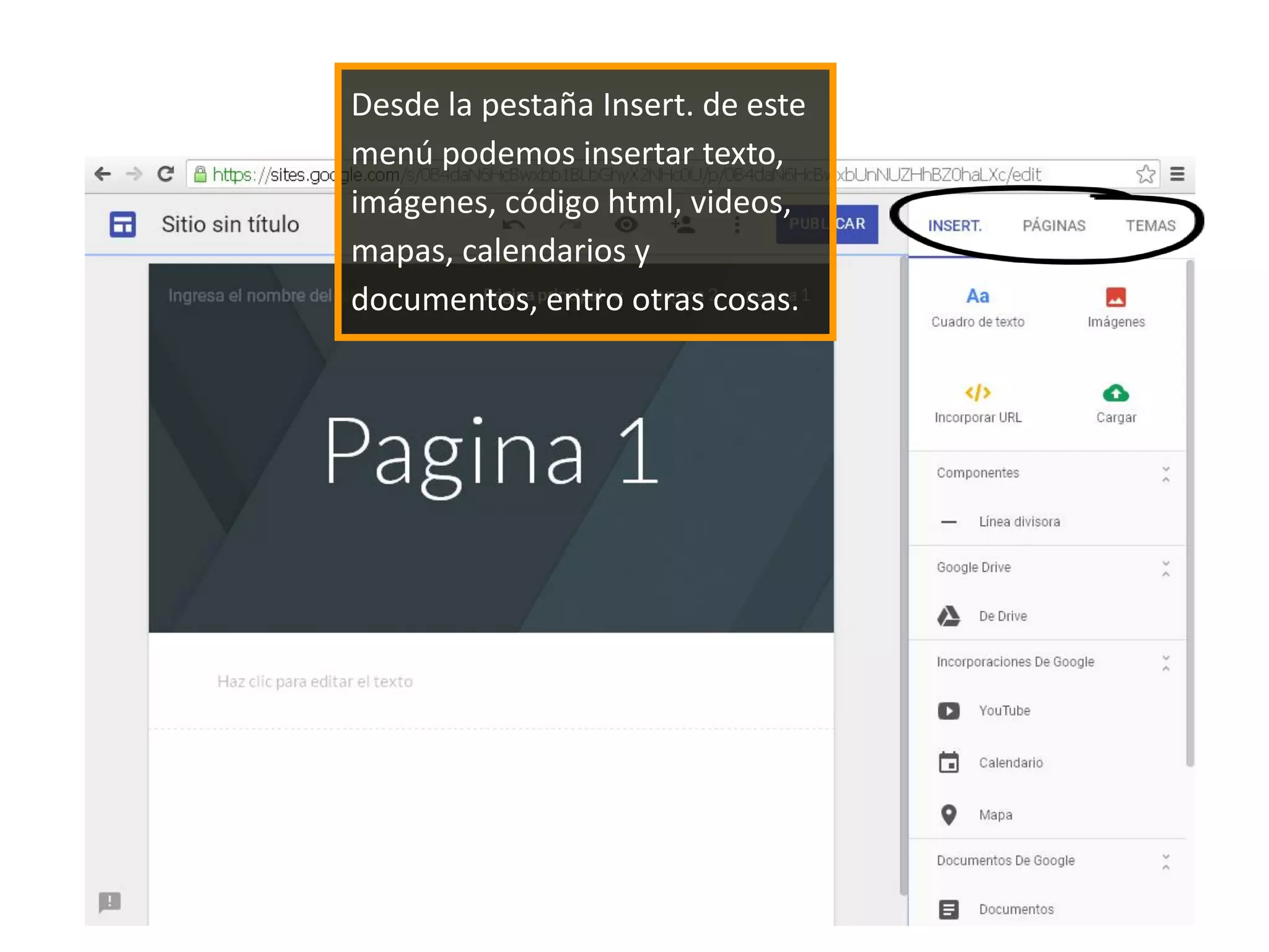 Desde la pestaña Insert. de este
menú podemos insertar texto,
imágenes, código html, videos,
mapas, calendarios y
documentos, entro otras cosas.
 