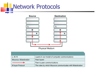 Network Protocols 