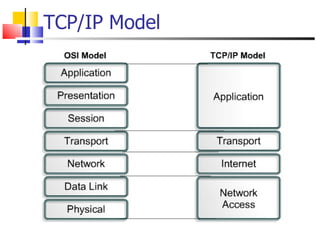 TCP/IP Model 