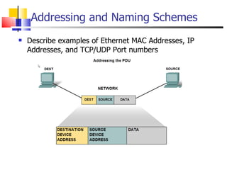 Addressing and Naming Schemes Describe examples of Ethernet MAC Addresses, IP Addresses, and TCP/UDP Port numbers 