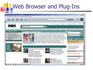 Web Browser and Plug-Ins 
