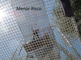 Menor 
Risco 
 