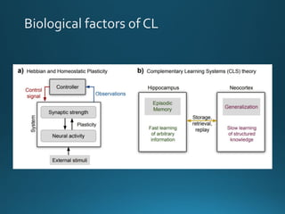 Biological factors of CL
•
 