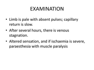 EXAMINATION
• Limb is pale with absent pulses; capillary
return is slow.
• After several hours, there is venous
stagnation.
• Altered sensation, and if ischaemia is severe,
paraesthesia with muscle paralysis
 