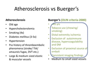Atherosclerosis vs Buerger’s
Atherosclerosis Buerger’s (OLIN criteria-2000)
• Old age
• Hypercholesterolemia
• Smoking (4x)
• Diabetes mellitus (3-5x)
• Hypertension
• Pvs history of thromboembolic
phenomena (stroke/ TIA/
amaurois fugax, DVT etc.)
• Large & medium sized elastic
& muscular vessels
• <45 yrs
• Tobacco use (chewing/
smoking)
• Distal extremity ischemia
• Exclusion of autoimmune
disease, hypercoagulability
and DM
• Exclusion of proximal source of
emboli
• Consistent imaging findings
• Medium to small sized vessels
 