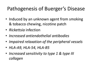 Pathogenesis of Buerger’s Disease
• Induced by an unknown agent from smoking
& tobacco chewing, nicotine patch
• Rickettsia infection
• Increased antiendothelial antibodies
• Impaired relaxation of the peripheral vessels
• HLA-A9, HLA-54, HLA-B5
• Increased sensitivity to type 1 & type III
collagen
 