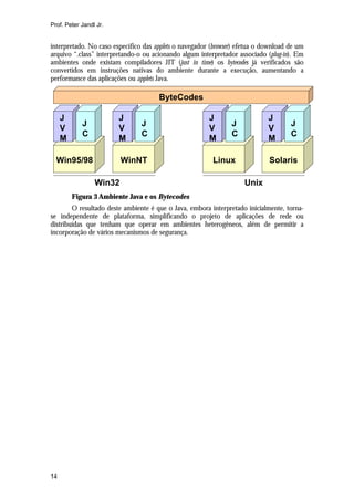 Prof. Peter Jandl Jr.


interpretado. No caso específico das applets o navegador (browser) efetua o download de um
arquivo “.class” interpretando-o ou acionando algum interpretador associado (plug-in). Em
ambientes onde existam compiladores JIT (just in time) os bytecodes já verificados são
convertidos em instruções nativas do ambiente durante a execução, aumentando a
performance das aplicações ou applets Java.

                                      ByteCodes

     J                  J                               J                    J
            J                   J                               J                    J
     V                  V                               V                    V
            C                   C                               C                    C
     M                  M                               M                    M

  Win95/98               WinNT                           Linux               Solaris

                 Win32                                               Unix
         Figura 3 Ambiente Java e os Bytecodes
        O resultado deste ambiente é que o Java, embora interpretado inicialmente, torna-
se independente de plataforma, simplificando o projeto de aplicações de rede ou
distribuídas que tenham que operar em ambientes heterogêneos, além de permitir a
incorporação de vários mecanismos de segurança.




14
 