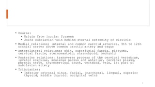 • Course:
• Origin from jugular foramen
• Joins subclavian vein behind sternal extremity of clavicle
• Medial relations: internal and common carotid arteries, 9th to 12th
cranial nerves above common carotid artery and vagus
• Anterolateral relations: skin, superficial fascia, platysma,
cervical fascia, sternomastoid, sternohyoid, omohyoid
• Posterior relations: transverse process of the cervical vertebrae,
levator scapulae, scalenus medius and anterior, cervical plexus,
phrenic nerve, thyrocervical trunk, vertebral vein, 1st part of
subclavian artery
• Tributaries:
• Inferior petrosal sinus, facial, pharyngeal, lingual, superior
thyroid, middle thyroid, occipital veins
6
 