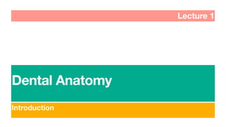 Dental Anatomy
Lecture 1
Introduction
 