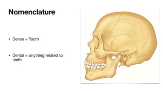 • Dense = Tooth
• Dental = anything related to
teeth
Nomenclature
 