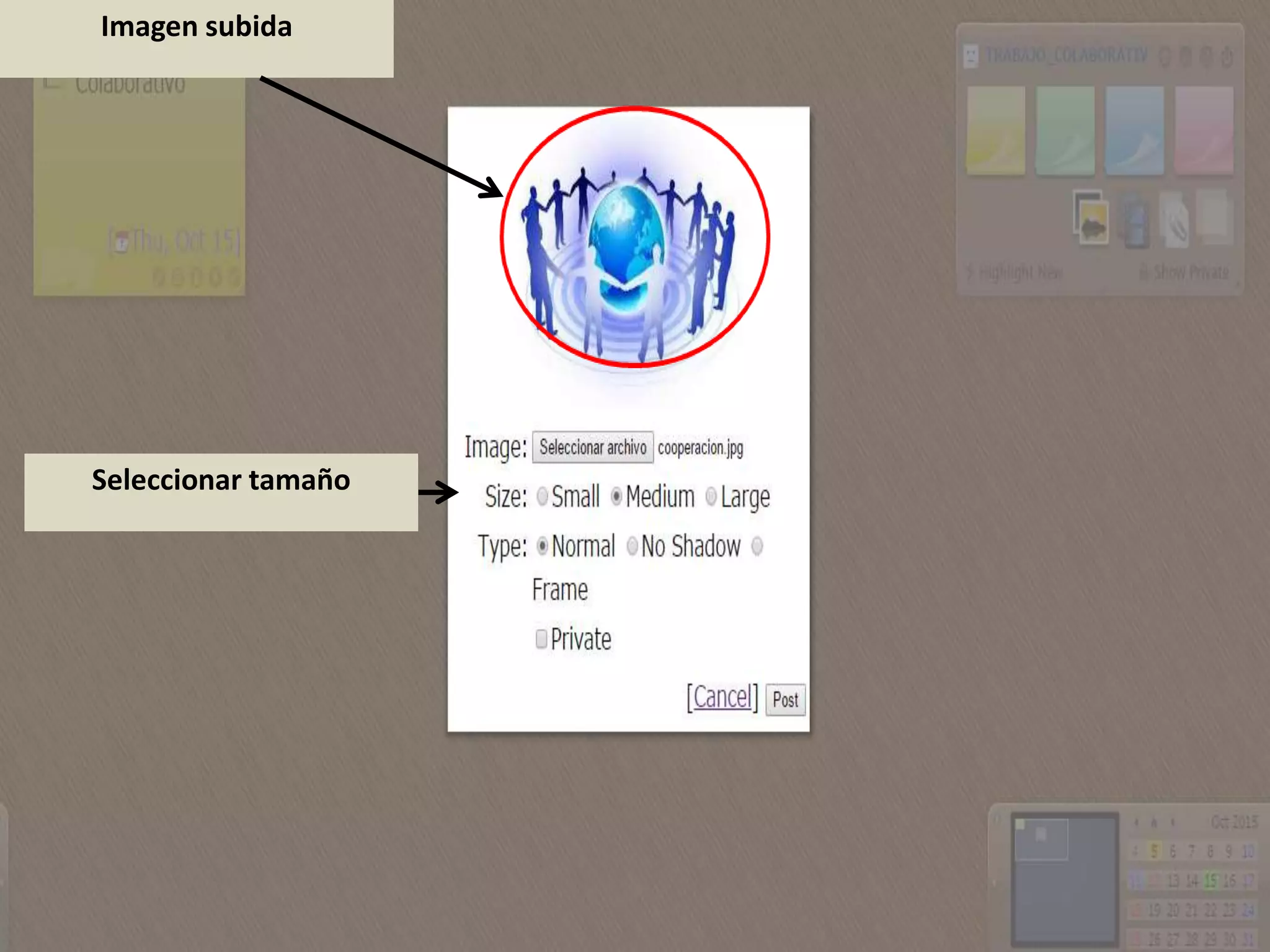 Imagen subida
Seleccionar tamaño