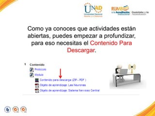 Como ya conoces que actividades están
abiertas, puedes empezar a profundizar,
para eso necesitas el Contenido Para
Descargar.
 