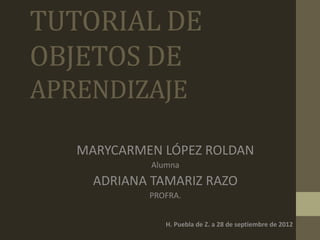 TUTORIAL DE
OBJETOS DE
APRENDIZAJE

   MARYCARMEN LÓPEZ ROLDAN
             Alumna
     ADRIANA TAMARIZ RAZO
            PROFRA.


                H. Puebla de Z. a 28 de septiembre de 2012
 
