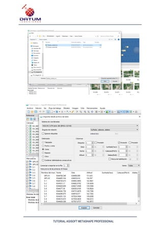 Tutorial_Metashape_v2.pdf