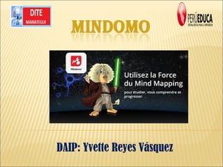 DAIP: Yvette Reyes Vásquez