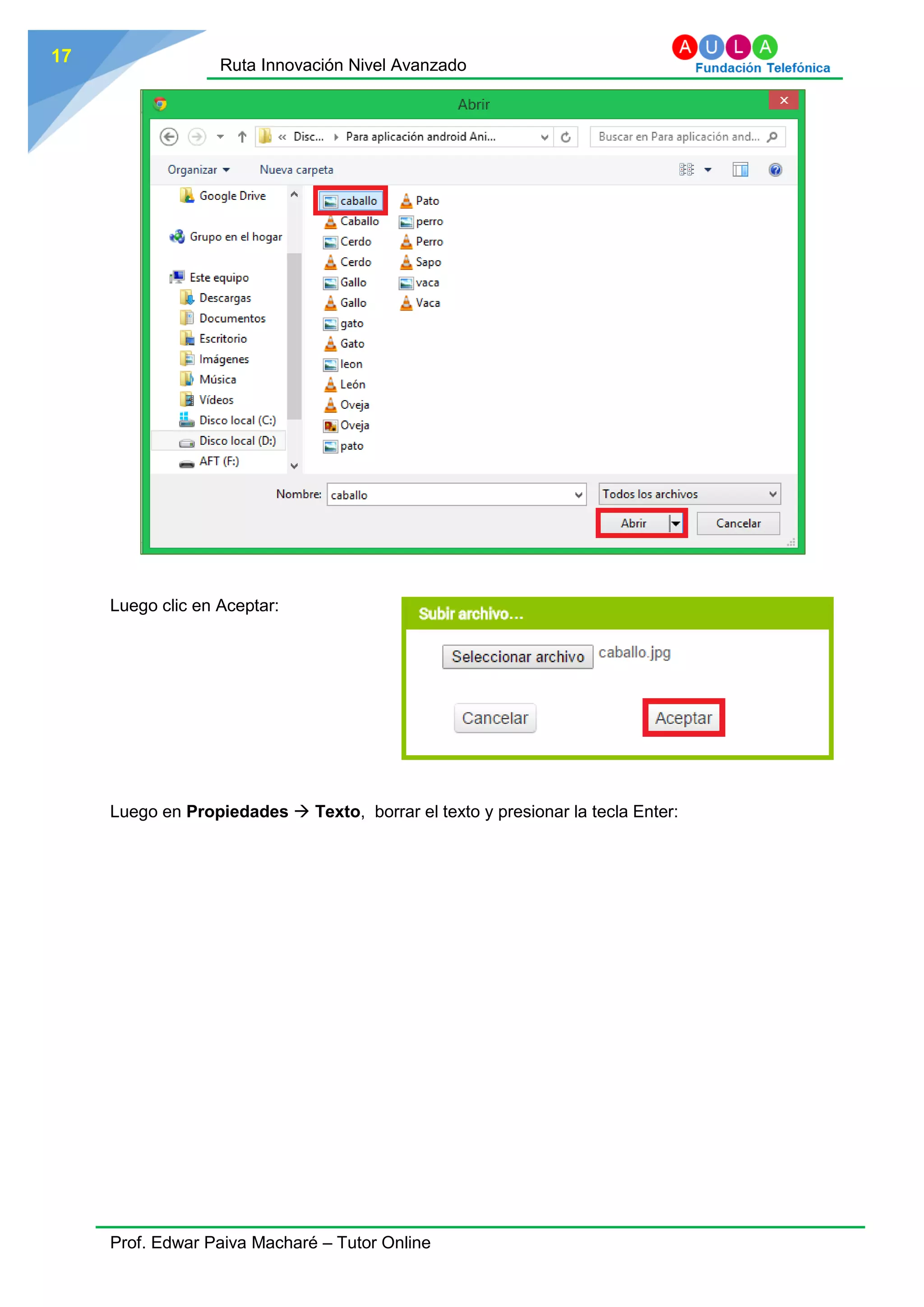 Ruta Innovación Nivel Avanzado
Prof. Edwar Paiva Macharé – Tutor Online
17
Luego clic en Aceptar:
Luego en Propiedades  Texto, borrar el texto y presionar la tecla Enter:
 
