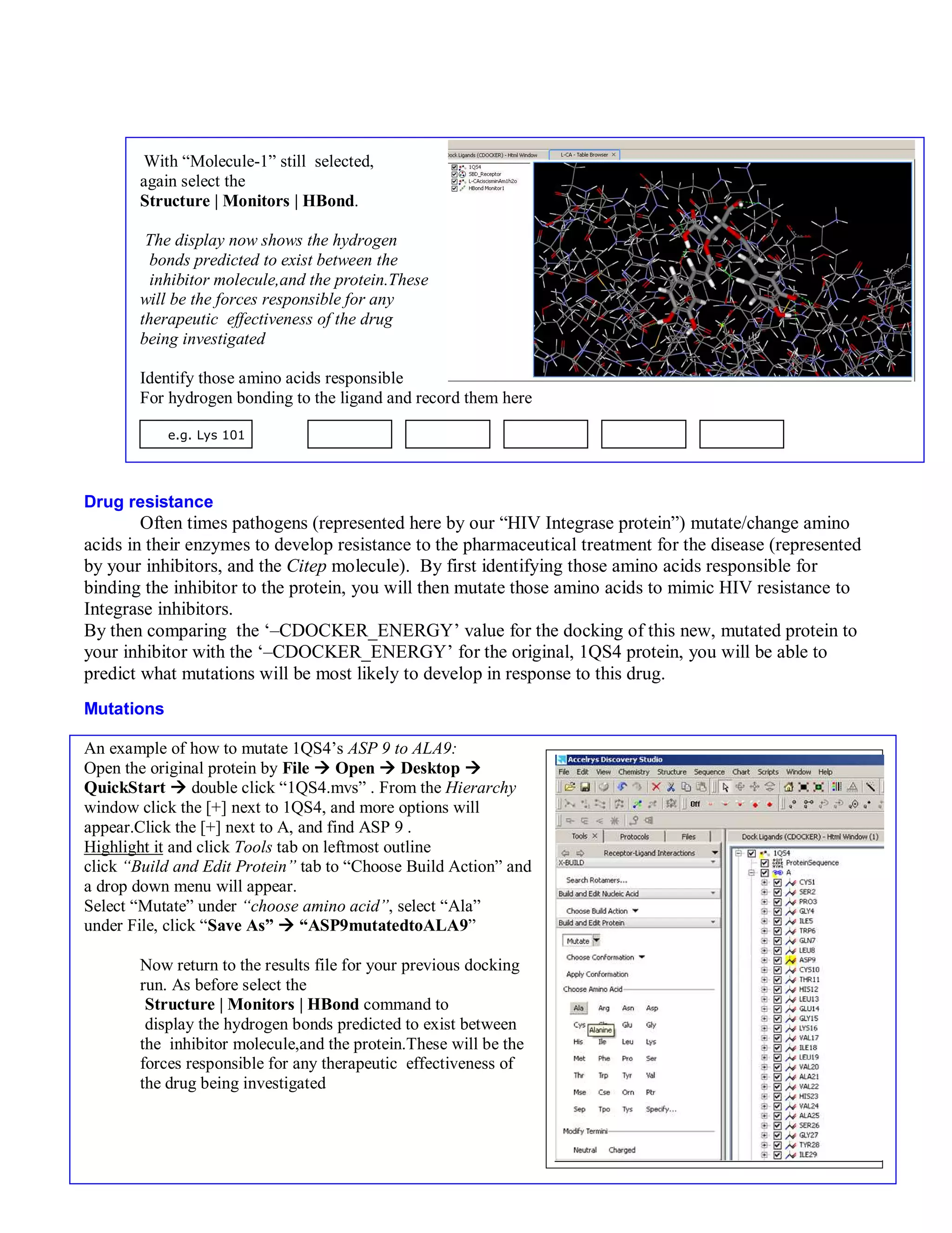 13 
With “Molecule-1” still selected, 
again select the 
Structure | Monitors | HBond. 
The display now shows the hydrogen 
bonds predicted to exist between the 
inhibitor molecule,and the protein.These 
will be the forces responsible for any 
therapeutic effectiveness of the drug 
being investigated 
Identify those amino acids responsible 
For hydrogen bonding to the ligand and record them here 
e.g. Lys 101 
Drug resistance 
Often times pathogens (represented here by our “HIV Integrase protein”) mutate/change amino 
acids in their enzymes to develop resistance to the pharmaceutical treatment for the disease (represented 
by your inhibitors, and the Citep molecule). By first identifying those amino acids responsible for 
binding the inhibitor to the protein, you will then mutate those amino acids to mimic HIV resistance to 
Integrase inhibitors. 
By then comparing the ‘–CDOCKER_ENERGY’ value for the docking of this new, mutated protein to 
your inhibitor with the ‘–CDOCKER_ENERGY’ for the original, 1QS4 protein, you will be able to 
predict what mutations will be most likely to develop in response to this drug. 
Mutations 
An example of how to mutate 1QS4’s ASP 9 to ALA9: 
Open the original protein by File  Open  Desktop  
QuickStart  double click “1QS4.mvs” . From the Hierarchy 
window click the [+] next to 1QS4, and more options will 
appear.Click the [+] next to A, and find ASP 9 . 
Highlight it and click Tools tab on leftmost outline 
click “Build and Edit Protein” tab to “Choose Build Action” and 
a drop down menu will appear. 
Select “Mutate” under “choose amino acid”, select “Ala” 
under File, click “Save As”  “ASP9mutatedtoALA9” 
Now return to the results file for your previous docking 
run. As before select the 
Structure | Monitors | HBond command to 
display the hydrogen bonds predicted to exist between 
the inhibitor molecule,and the protein.These will be the 
forces responsible for any therapeutic effectiveness of 
the drug being investigated 
 