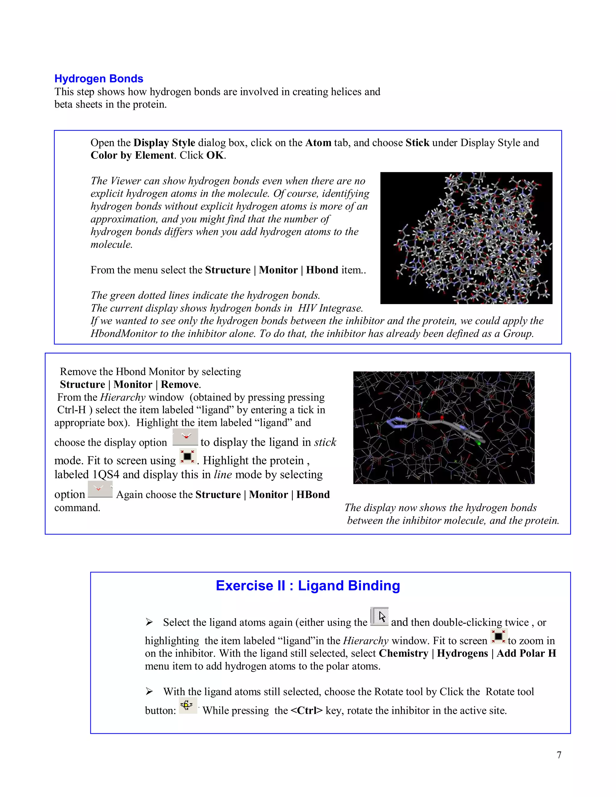 7 
Hydrogen Bonds 
This step shows how hydrogen bonds are involved in creating helices and 
beta sheets in the protein. 
Open the Display Style dialog box, click on the Atom tab, and choose Stick under Display Style and 
Color by Element. Click OK. 
The Viewer can show hydrogen bonds even when there are no 
explicit hydrogen atoms in the molecule. Of course, identifying 
hydrogen bonds without explicit hydrogen atoms is more of an 
approximation, and you might find that the number of 
hydrogen bonds differs when you add hydrogen atoms to the 
molecule. 
From the menu select the Structure | Monitor | Hbond item.. 
The green dotted lines indicate the hydrogen bonds. 
The current display shows hydrogen bonds in HIV Integrase. 
If we wanted to see only the hydrogen bonds between the inhibitor and the protein, we could apply the 
HbondMonitor to the inhibitor alone. To do that, the inhibitor has already been defined as a Group. 
Remove the Hbond Monitor by selecting 
Structure | Monitor | Remove. 
From the Hierarchy window (obtained by pressing pressing 
Ctrl-H ) select the item labeled “ligand” by entering a tick in 
appropriate box). Highlight the item labeled “ligand” and 
choose the display option to display the ligand in stick 
mode. Fit to screen using . Highlight the protein , 
labeled 1QS4 and display this in line mode by selecting 
option 
Again choose the Structure | Monitor | HBond 
command. The display now shows the hydrogen bonds 
between the inhibitor molecule, and the protein. 
Exercise II : Ligand Binding 
 Select the ligand atoms again (either using the and then double-clicking twice , or 
highlighting the item labeled “ligand”in the Hierarchy window. Fit to screen to zoom in 
on the inhibitor. With the ligand still selected, select Chemistry | Hydrogens | Add Polar H 
menu item to add hydrogen atoms to the polar atoms. 
 With the ligand atoms still selected, choose the Rotate tool by Click the Rotate tool 
button: While pressing the Ctrl key, rotate the inhibitor in the active site. 
 