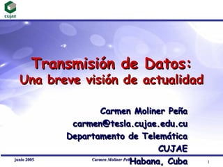 Transmisión de Datos:
  Una breve visión de actualidad

                     Carmen Moliner Peña
              carmen@tesla.cujae.edu.cu
             Departamento de Telemática
                                          CUJAE
junio 2005
                                    Habana, Cuba
                  Carmen Moliner Peña
                                                   1
 