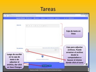 Tareas
Caja de texto en
línea
Caja para adjuntar
archivos. Puede
arrastrar el archivo
desde la
computadora o
buscar el mismo
dando click al ícono
Luego de escribir
en la caja de
texto o de
adjuntar el
archivo, dar click
en Save Changes
© 2016 Prof. Rosana Torres Cintrón 23
 