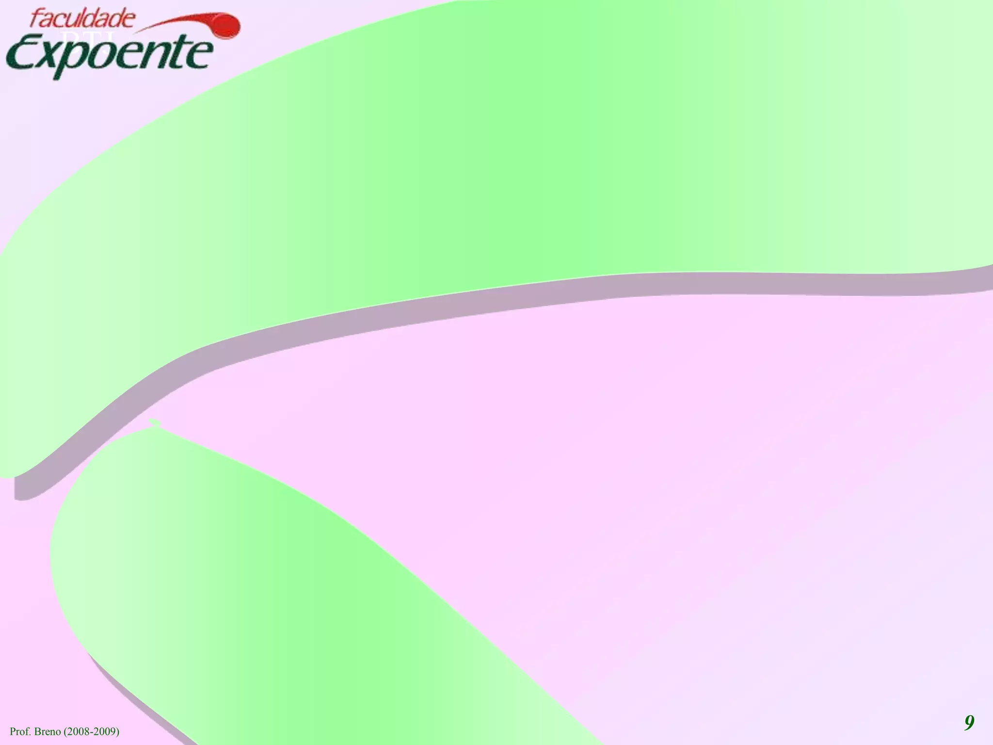 Prof. Breno (2008-2009)9