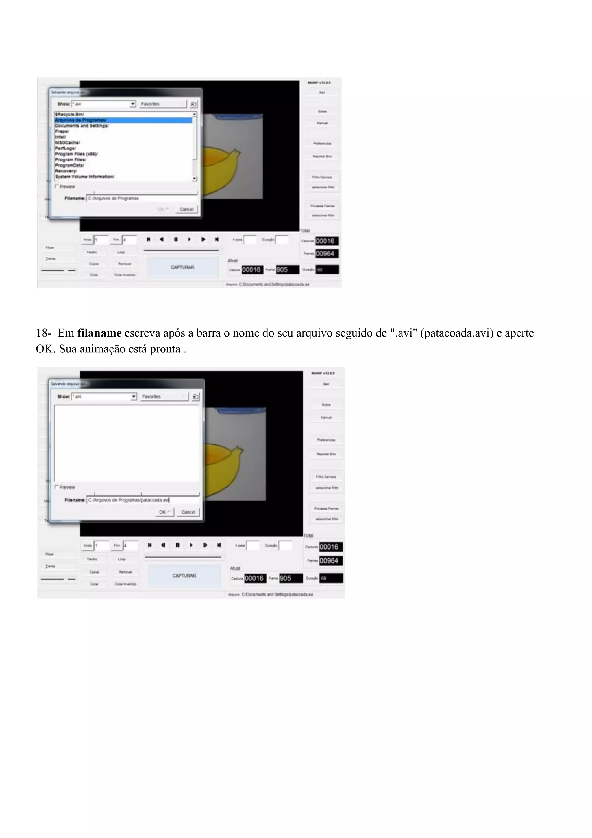18- Em filaname escreva após a barra o nome do seu arquivo seguido de ".avi" (patacoada.avi) e aperte
OK. Sua animação está pronta .
 